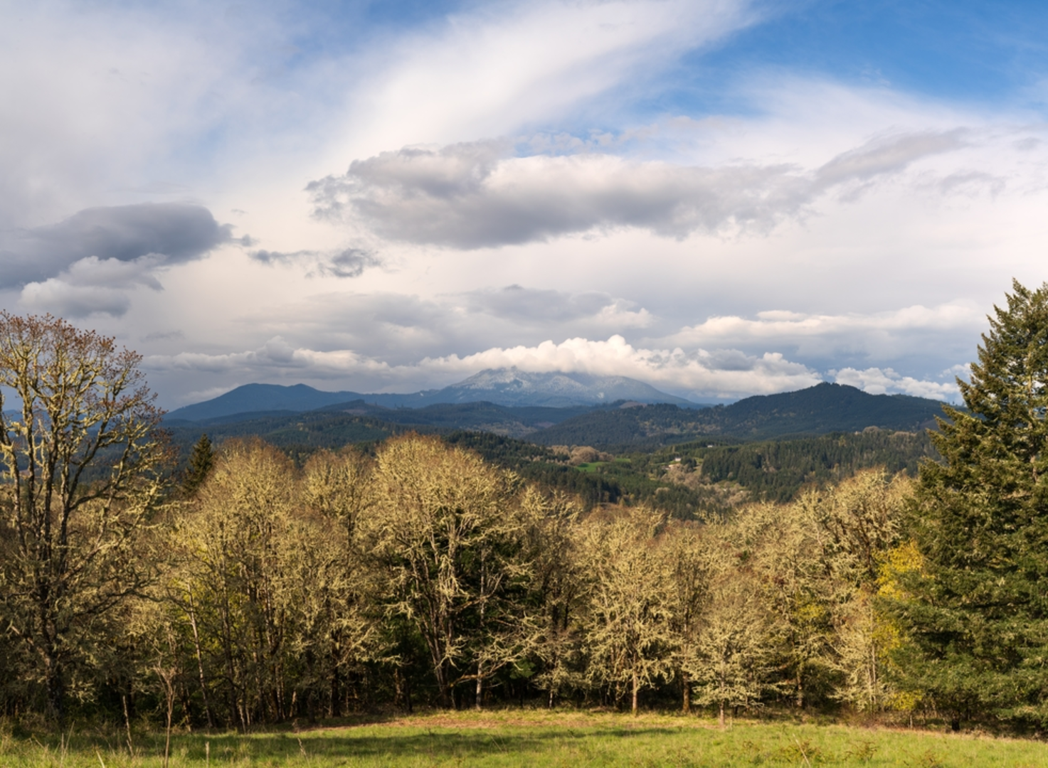 An image depicting the trail Summit Loop Trail and its surrounding area.
