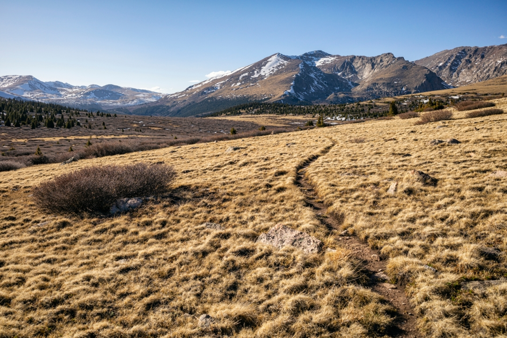 An image depicting the trail Lost Creek Trail and its surrounding area.