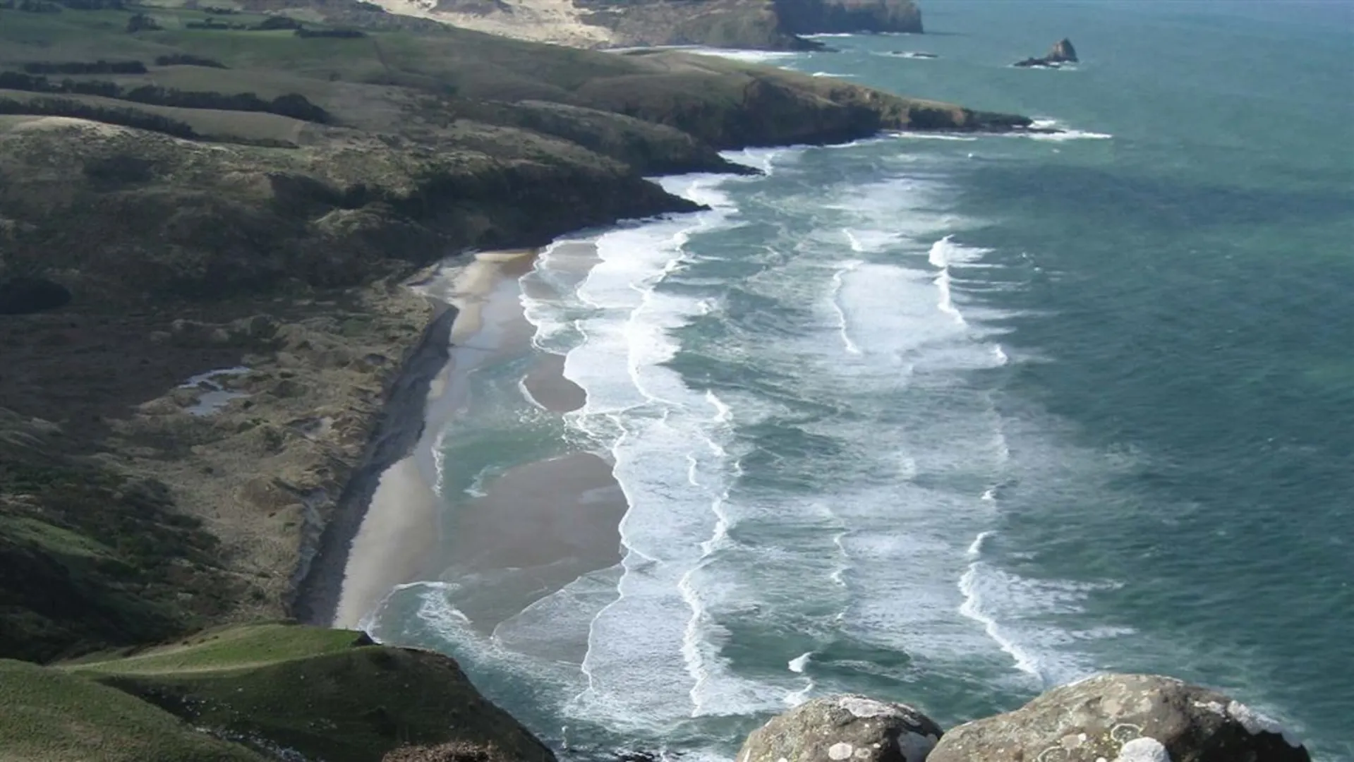 An image depicting the trail Buskin, Highcliff and Paradise Road Track and its surrounding area.