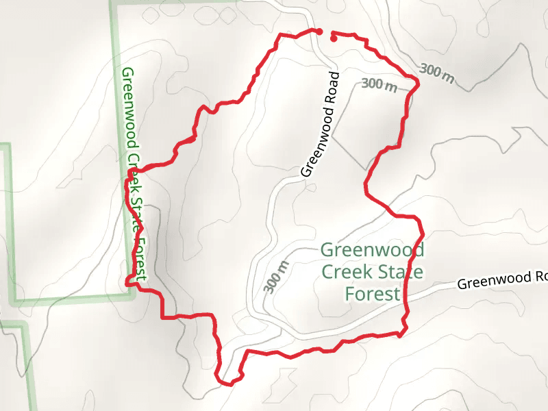 Greenwood Falls and Creek Loop