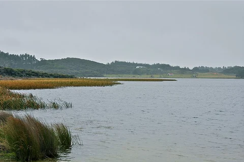Lake Ngatu Walk