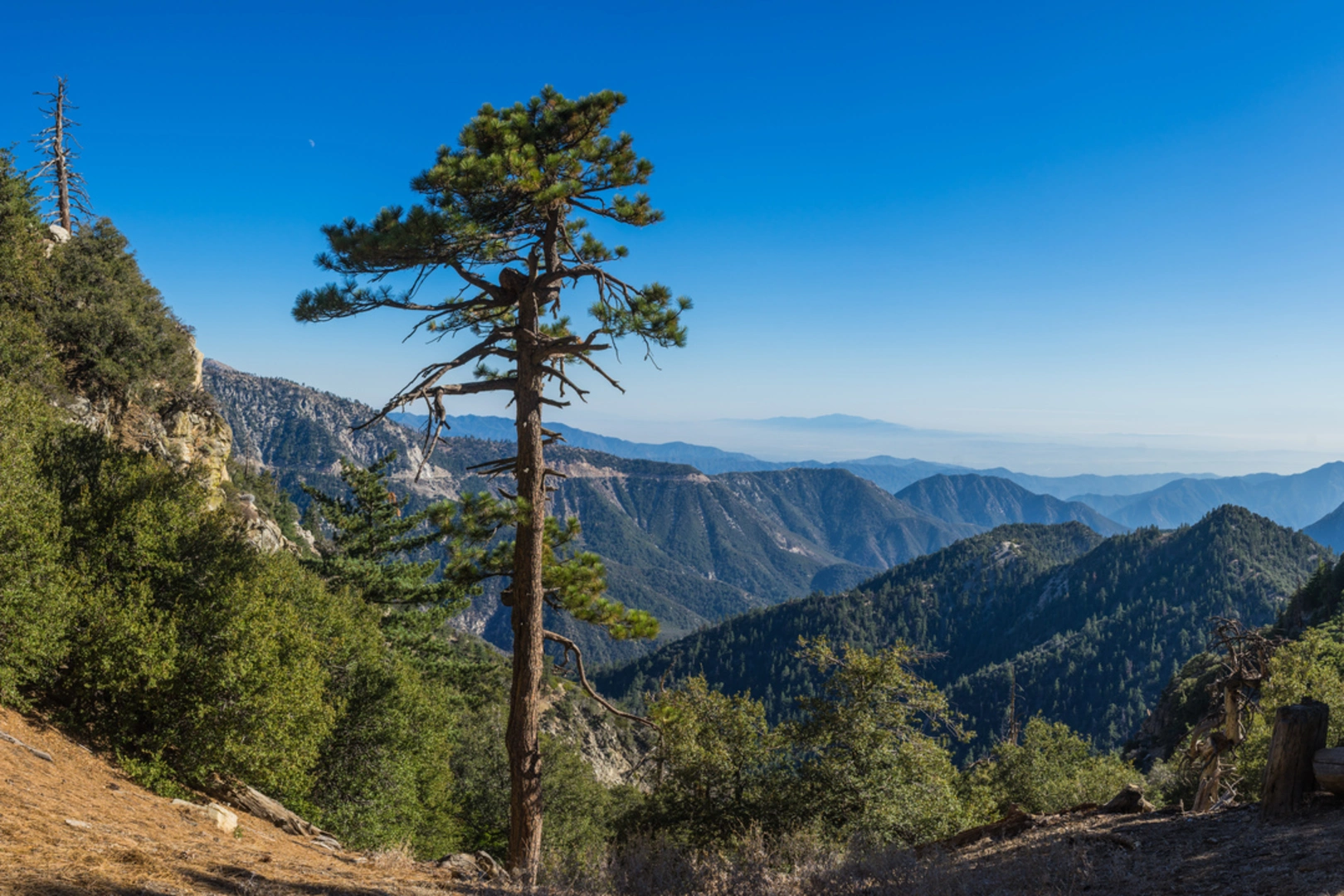 An image depicting the trail Mount Gleason via Pacific Crest Trail and its surrounding area.