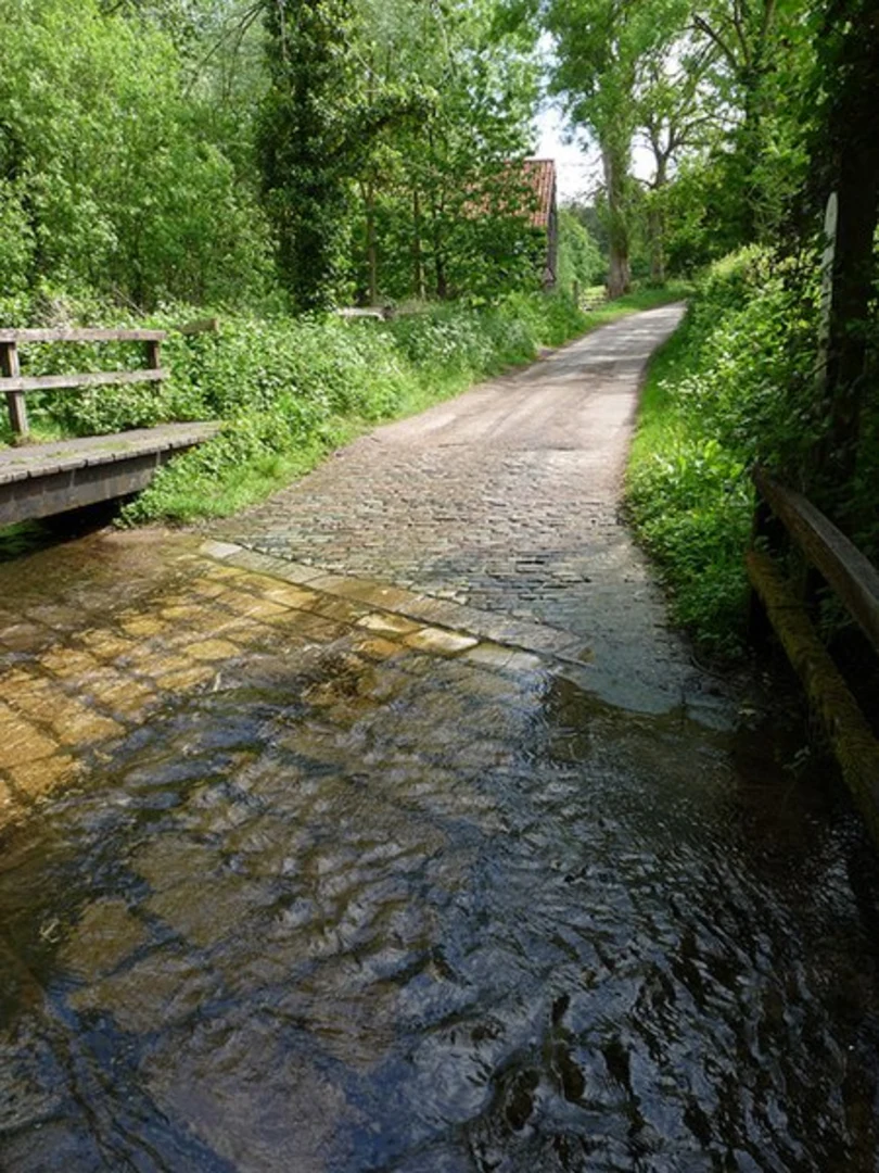 An image depicting the trail Arger Fen, Spouses Grove Loop - Dorking Tye and its surrounding area.