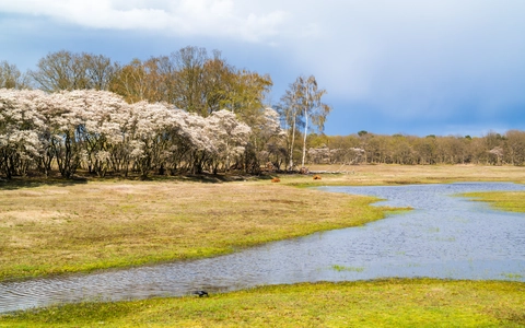 Zuiderheide, Laarder Wasmeer and Heidebloem Loop
