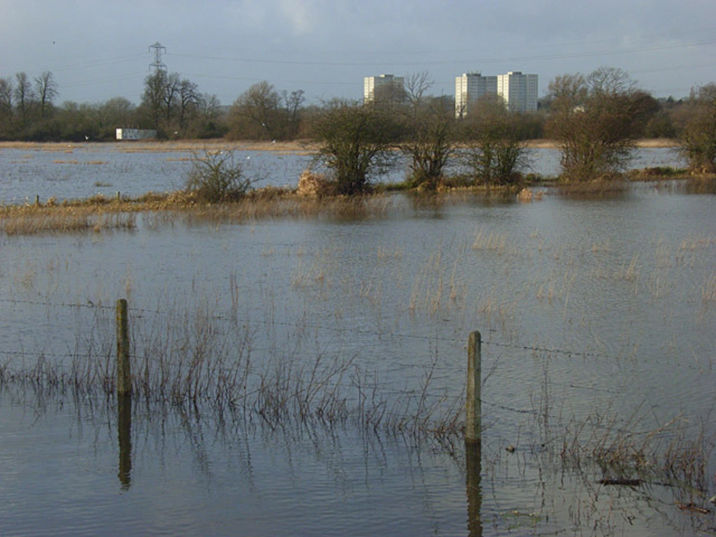 An image depicting the trail Fobney Island Wetland Nature Reserve Loop and its surrounding area.