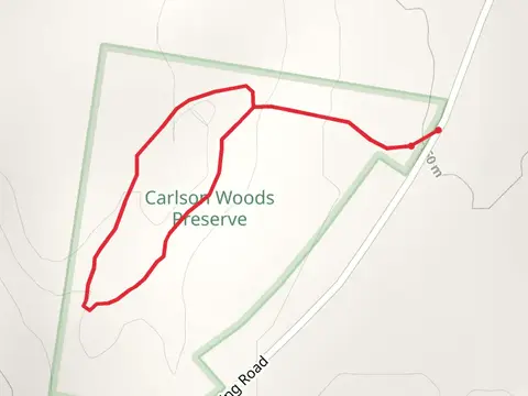 Waning Road Loop