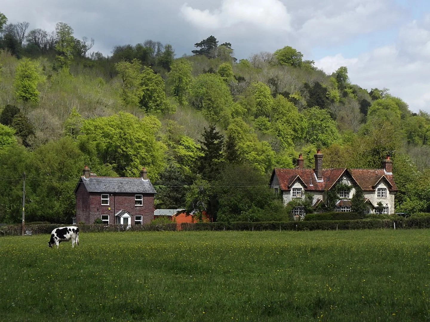 An image depicting the trail Liss, Greatham and Selborne Loop Walk and its surrounding area.