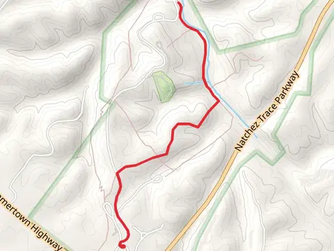 Little Swan Creek Walk
