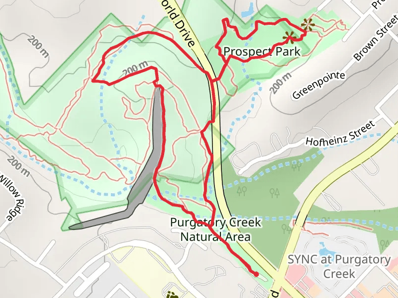 Lower Purgatory Creek Greenspace Trail and Prospect Park Loop