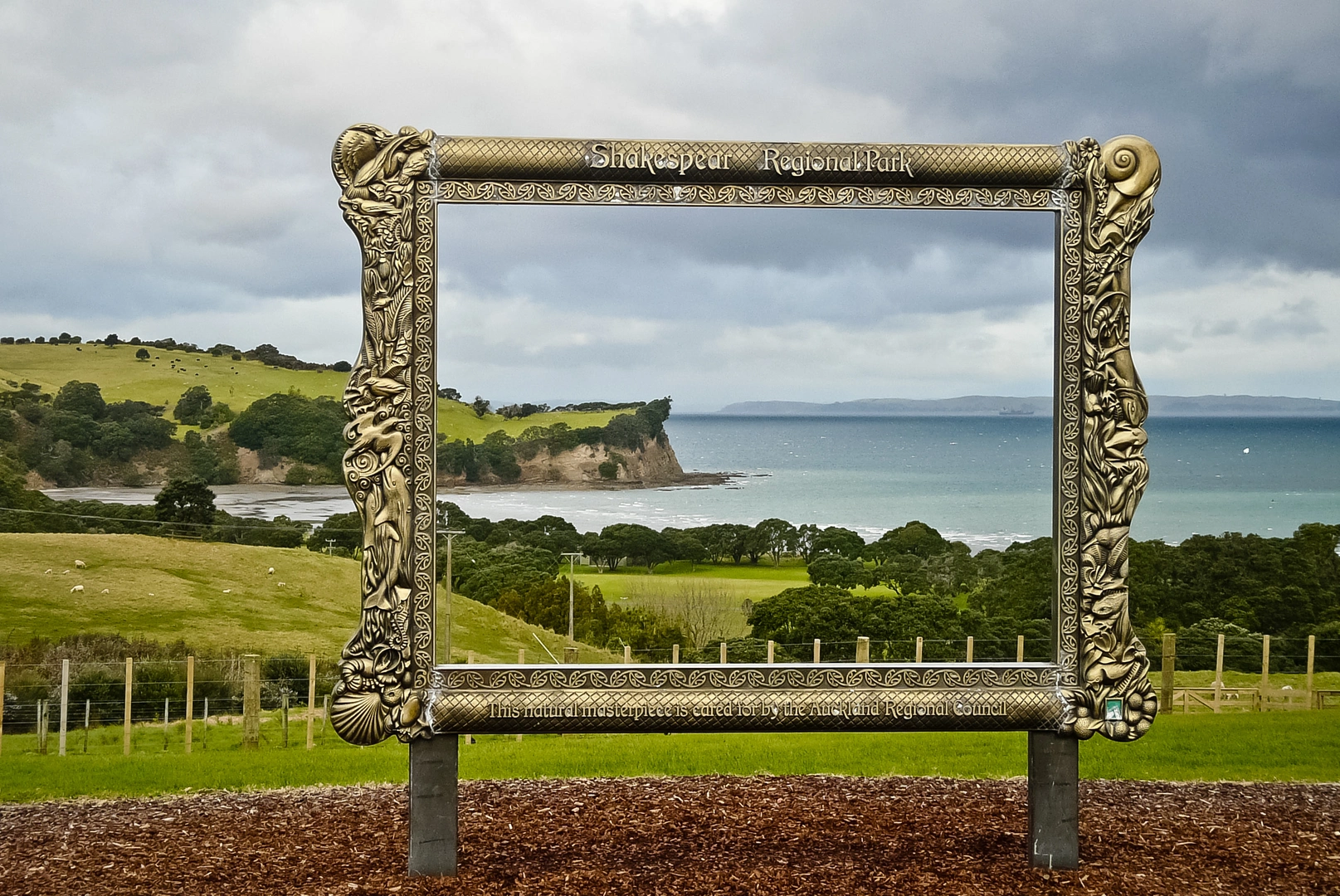 An image depicting the trail Shakespear Heritage and Lookout Track and its surrounding area.