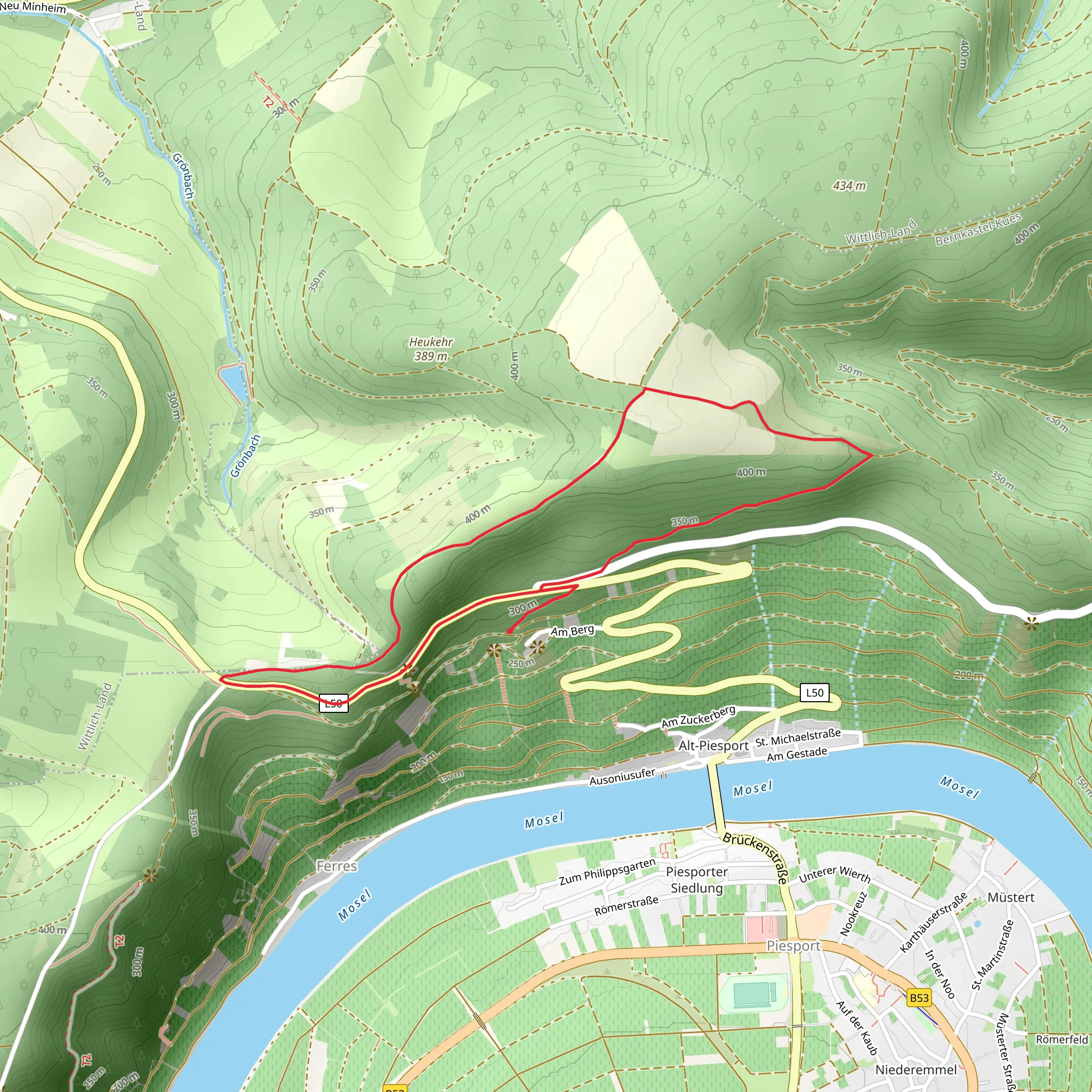 Piesporter Berg Loop mobile static map