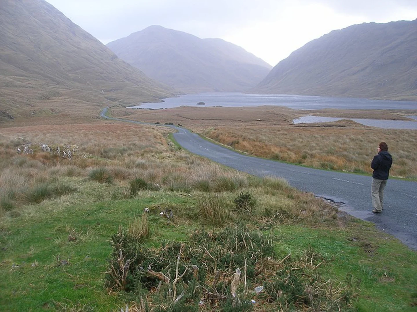 An image depicting the trail The Sheeffry Seven Summits Loop Walk and its surrounding area.