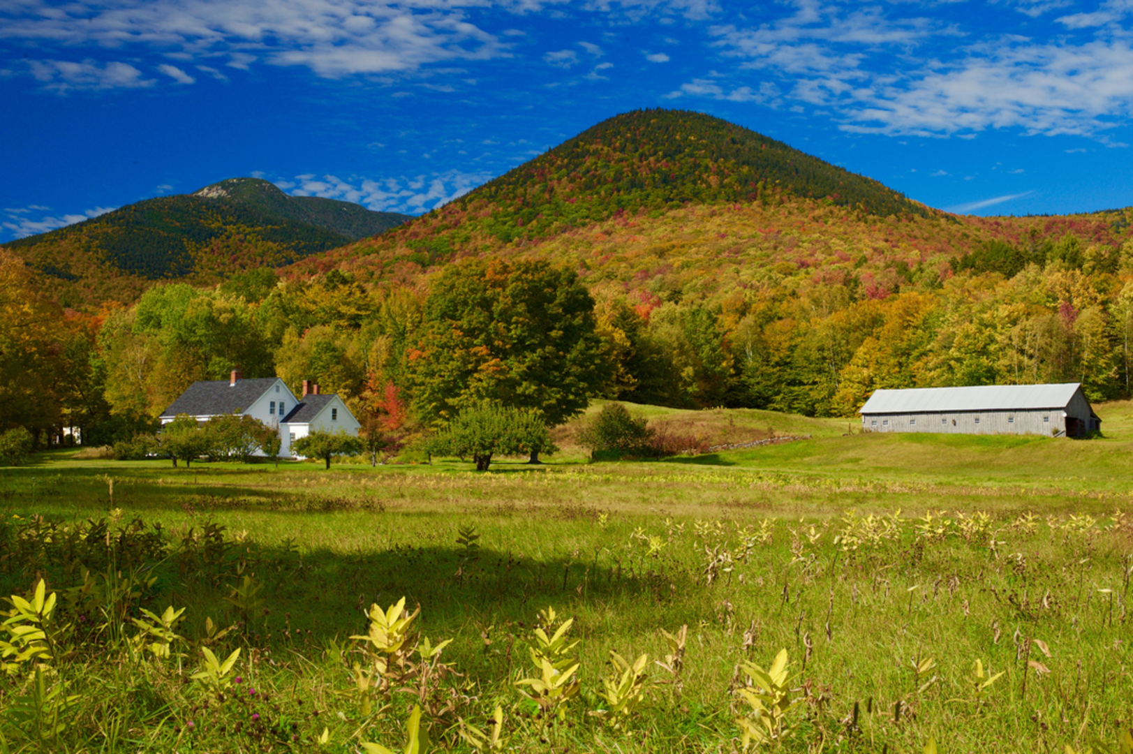 An image depicting the trail Flat Mountain Pond Trail and its surrounding area.