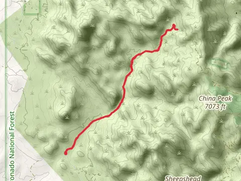 Slavin Gulch Trail Out and Back