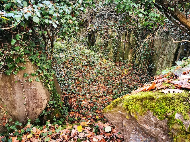 Aschaffenburg Süd to Kleinwallstadt via Main