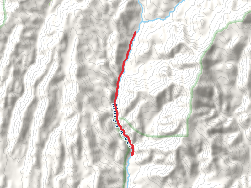 East Fork Jarbidge River Trail