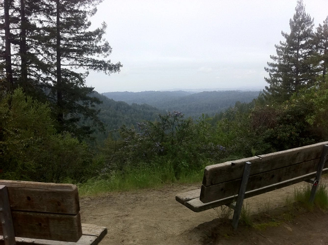 Aptos Creek Fire Road and Sand Point