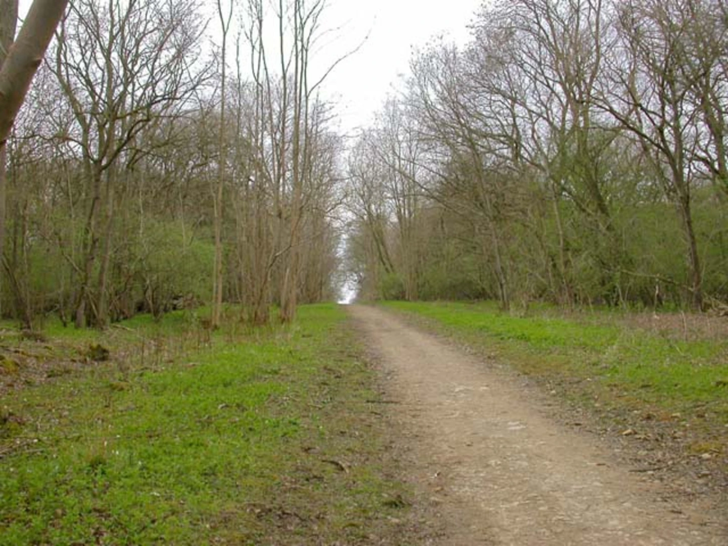 An image depicting the trail Old Sulehay Forest NR and its surrounding area.
