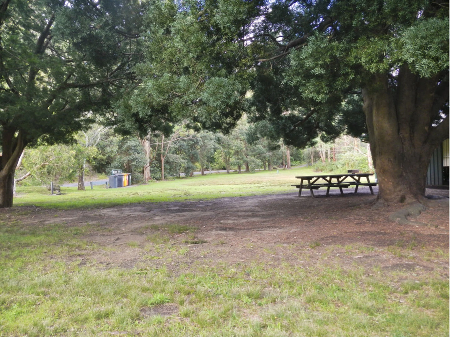 An image depicting the trail Riverside Track and its surrounding area.