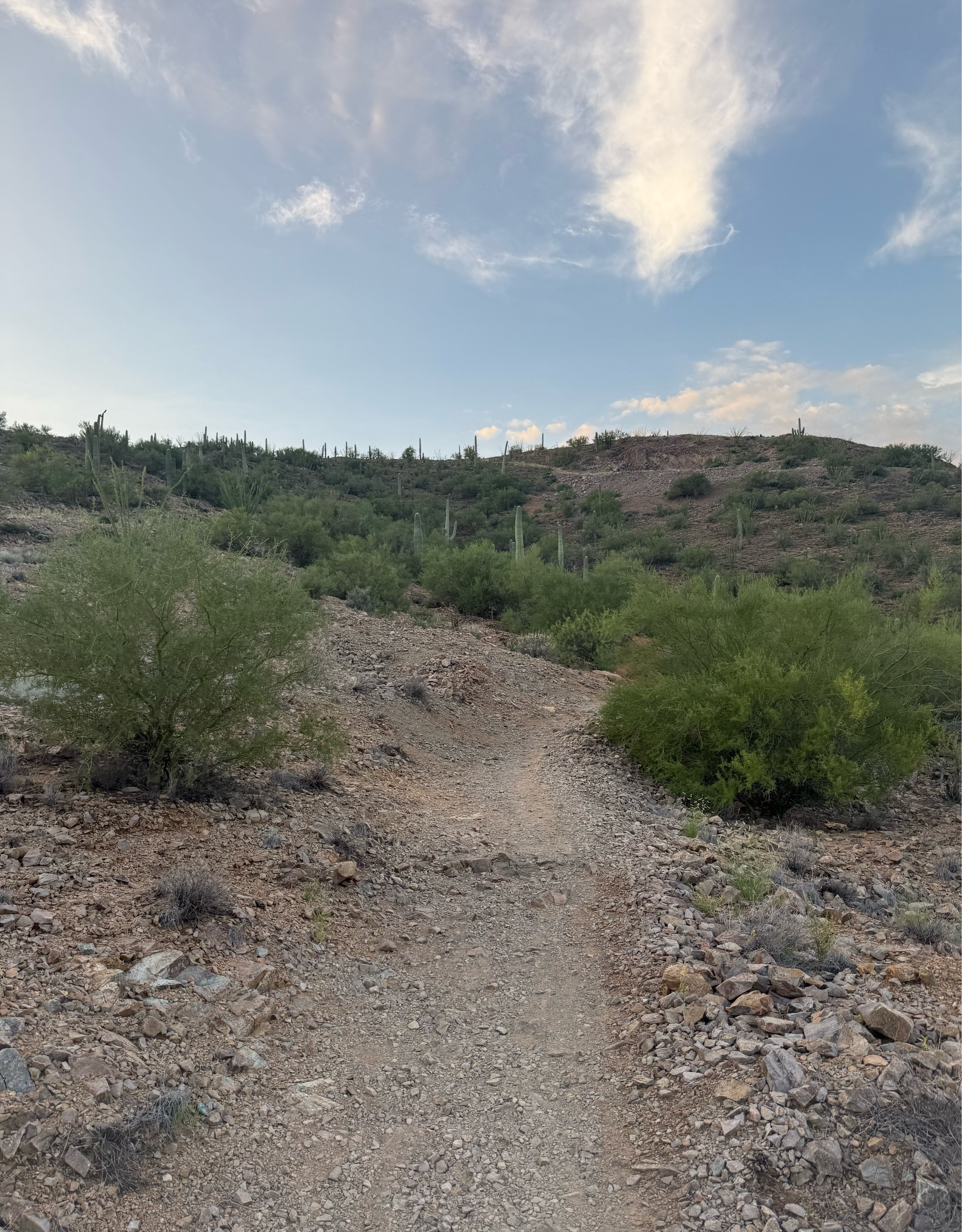 A map preview of the recording Wren Rock Starr Pass Loop.