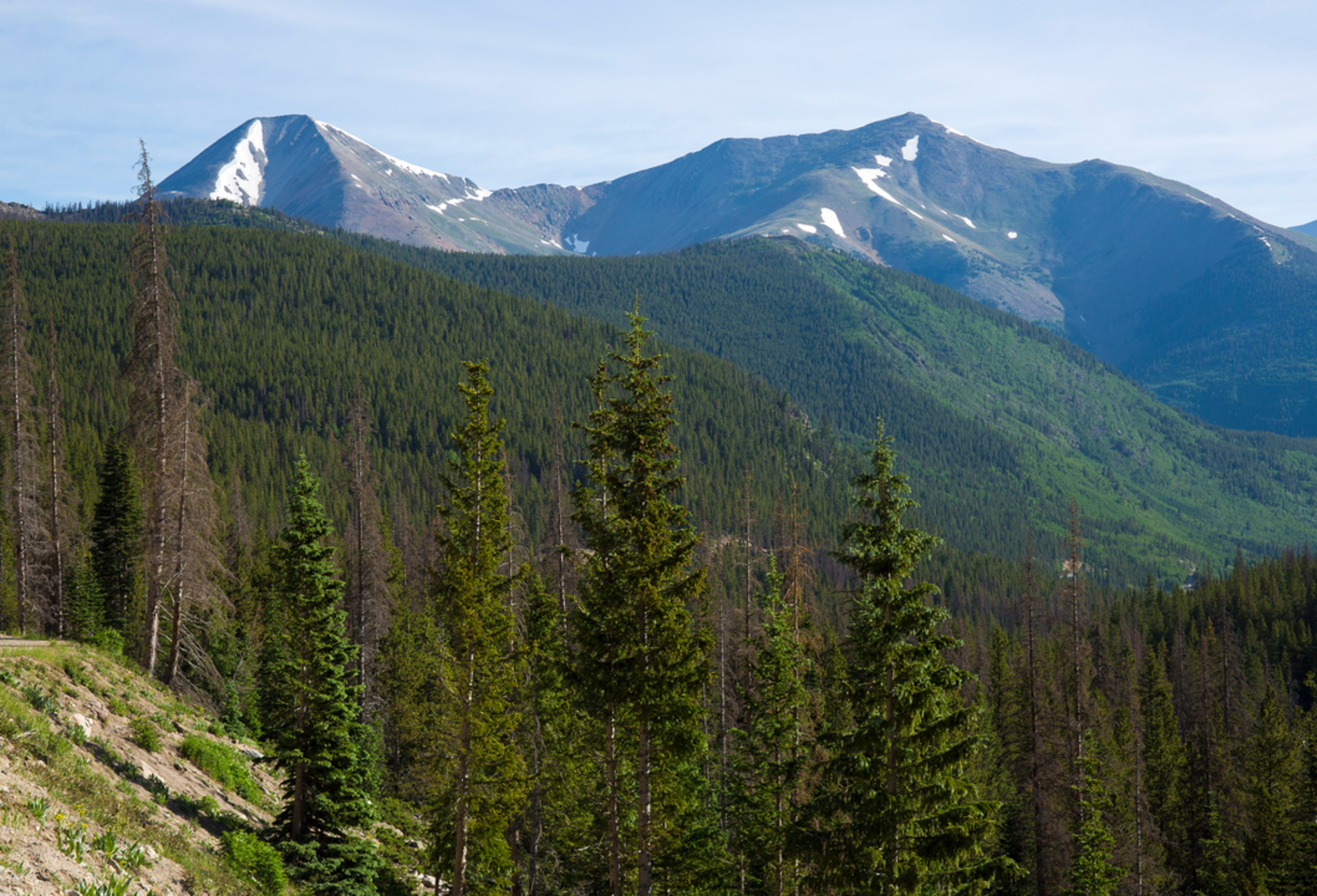 An image depicting the trail Taylor Mountain Trail and its surrounding area.