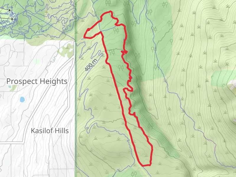 South Fork Rim Loop Trail