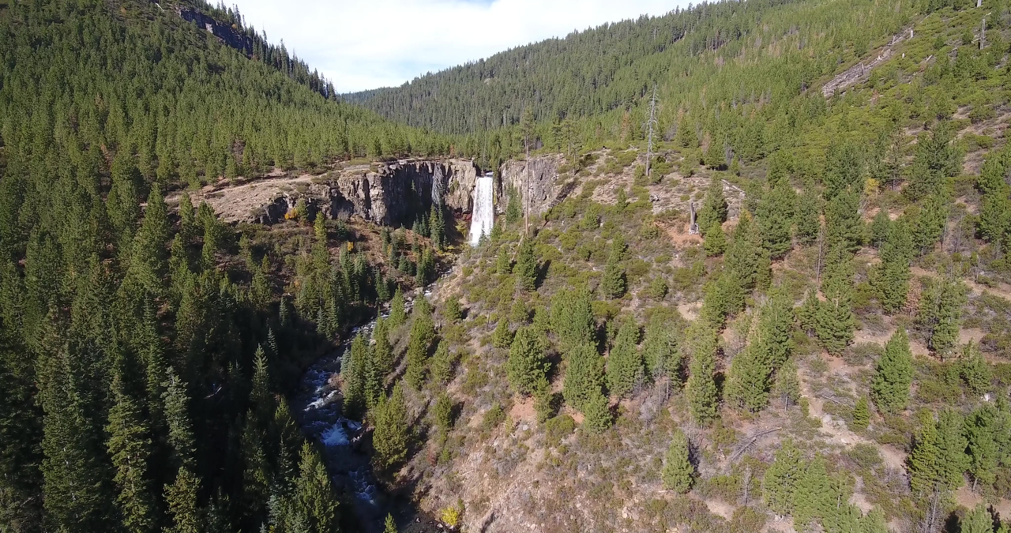 An image depicting the trail Tumalo Ridge Trail and its surrounding area.