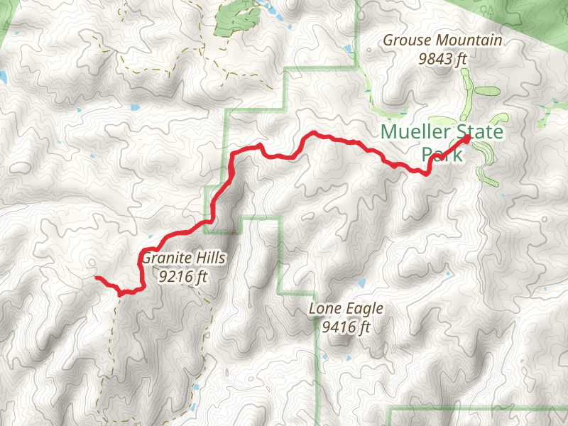 Black Bear Trail