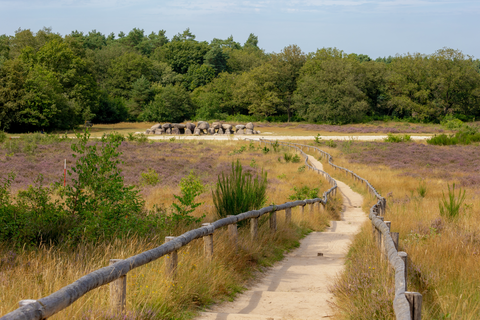 Vreugderijkerpad, Agnietenbergpad and Schellerdijk Loop