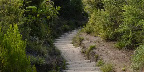 Nga Tapuwae o Toi and Kohi Point Walkway Loop