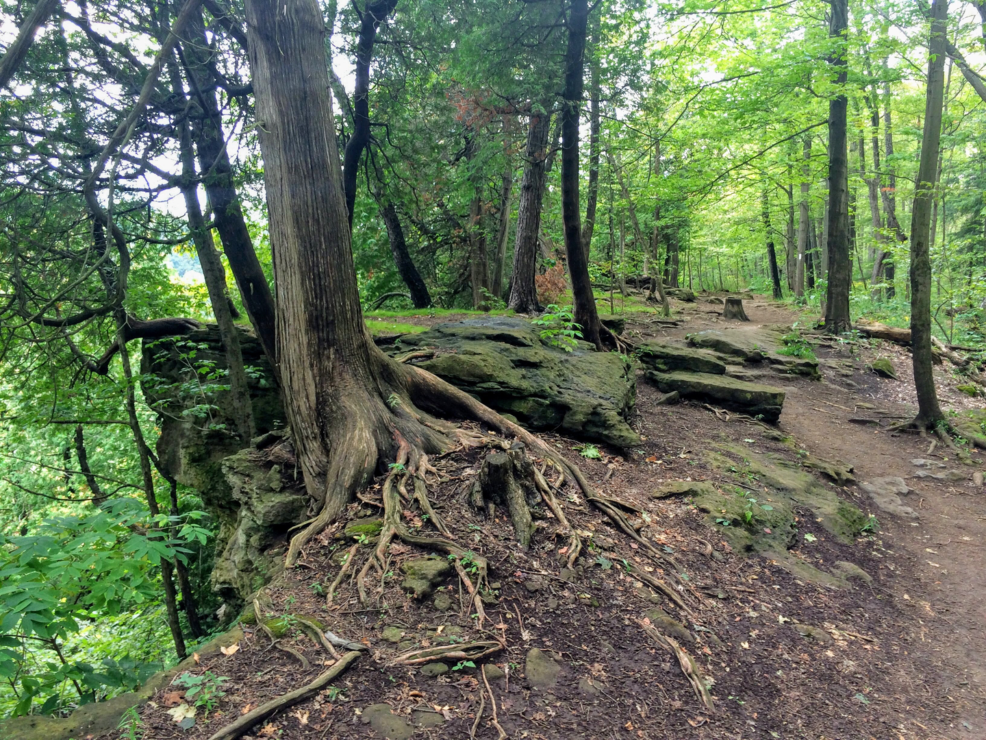 An image depicting the trail Escarpment Loop Trail and its surrounding area.