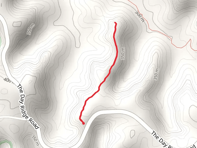 Panoramic Trail