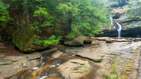 Cedar Falls via Buckeye Trail