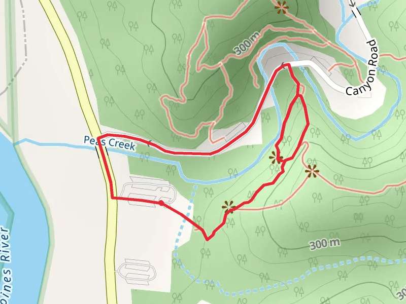 Peas Creek Loop