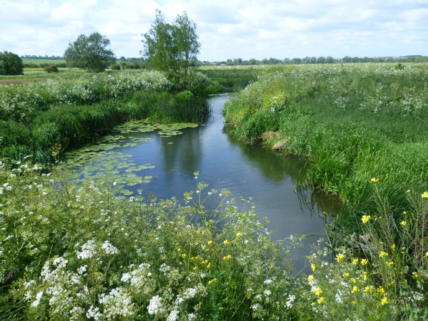 An image depicting the trail Harringworth Loop and its surrounding area.