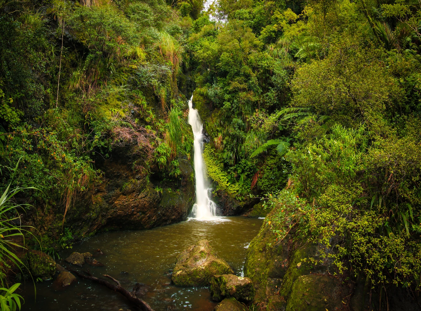 An image depicting the trail Karamatura to Mount Donald McLean and its surrounding area.