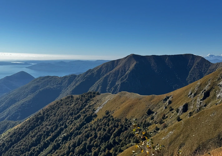 Monte Zeda