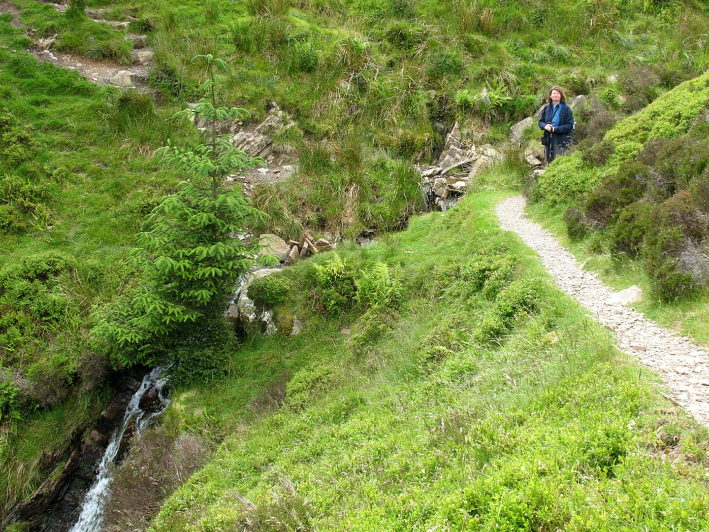 An image depicting the trail Barf, Lord's Seat, Seat How and Whinlatter Loop and its surrounding area.