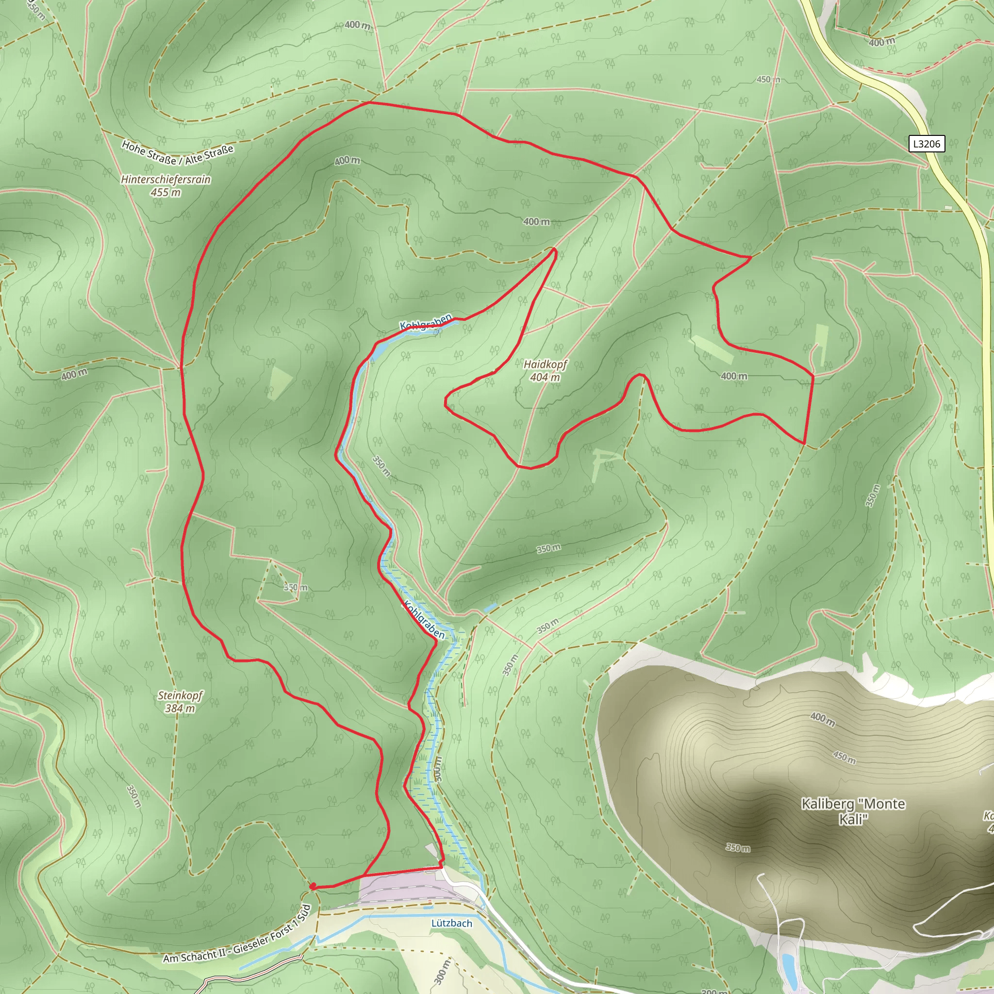 Gieseler Forst Sued Loop mobile static map