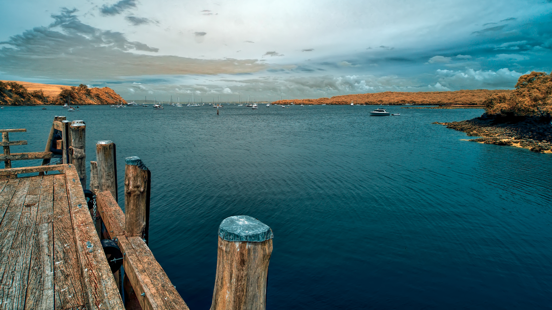 An image depicting the trail Rangitoto Island Longer Walks - Islington Bay Wharf to Home Bay and its surrounding area.