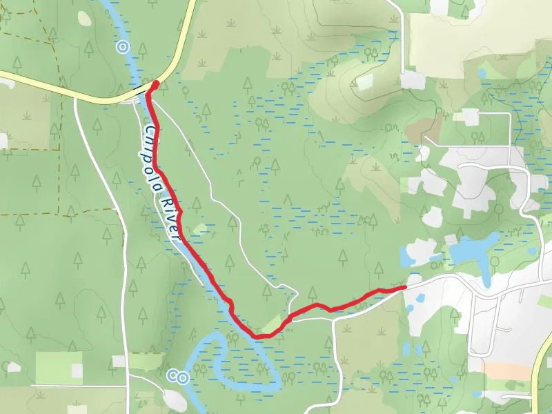 Chipola River Walk along via Florida Trail