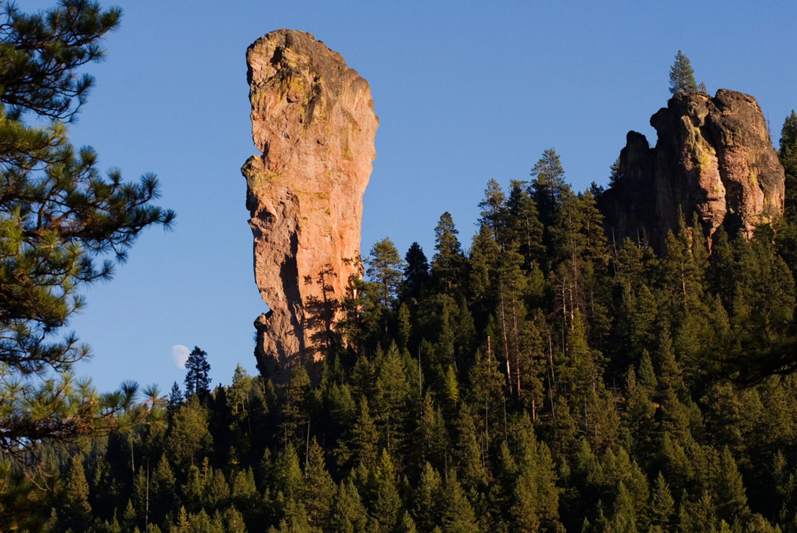 An image depicting the trail Steins Pillar Trail and its surrounding area.