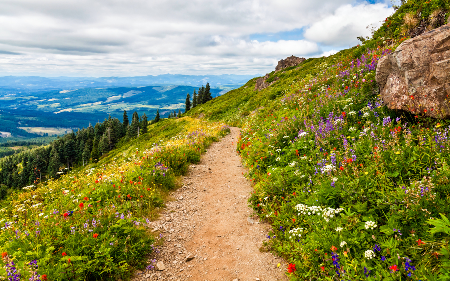 An image depicting the trail Varden Lake Trail and its surrounding area.