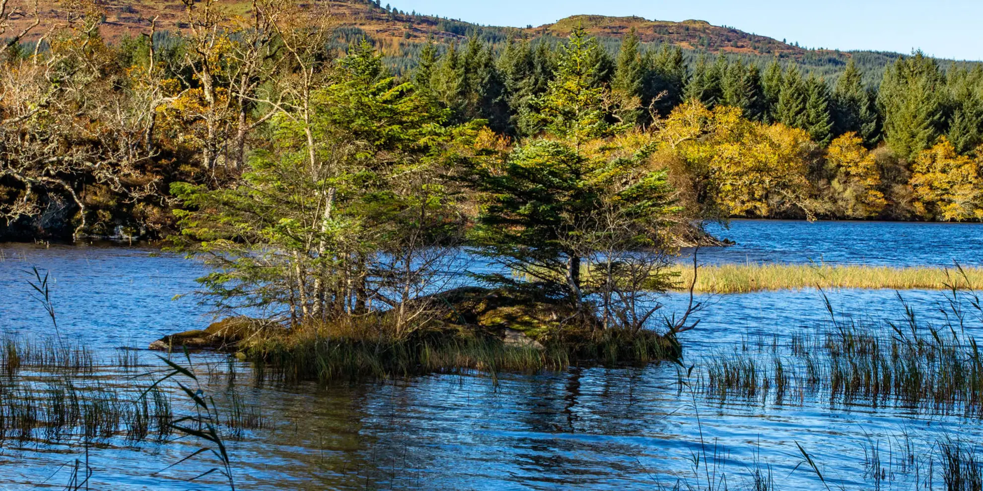 An image depicting the trail Loch Coille-Bharr Loop Trail and its surrounding area.