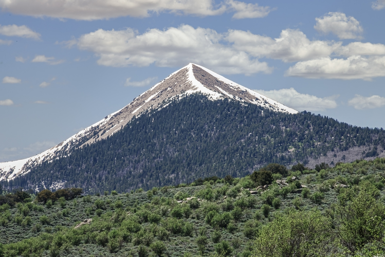 Pole Canyon Trail