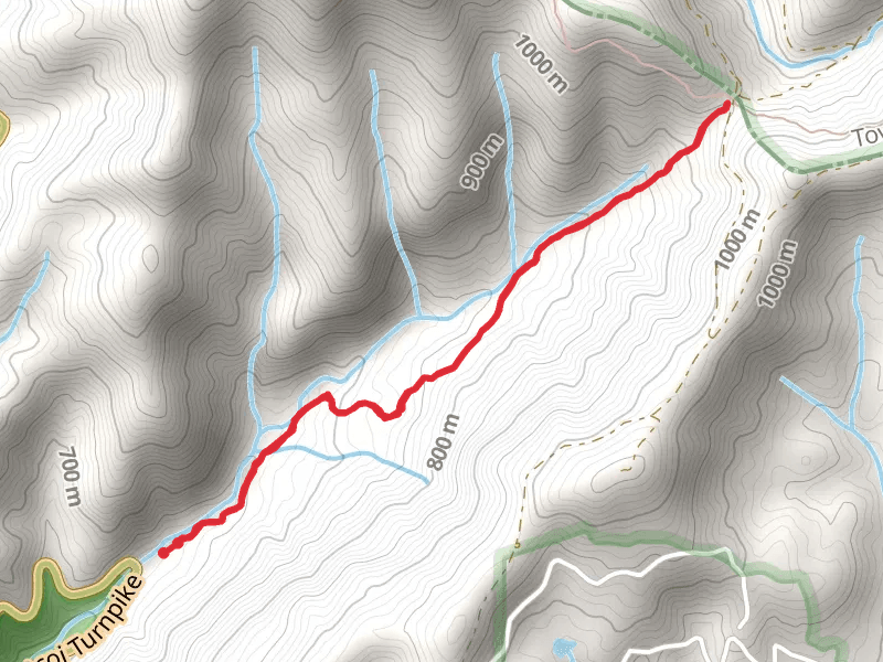 Andrews Cove Trail