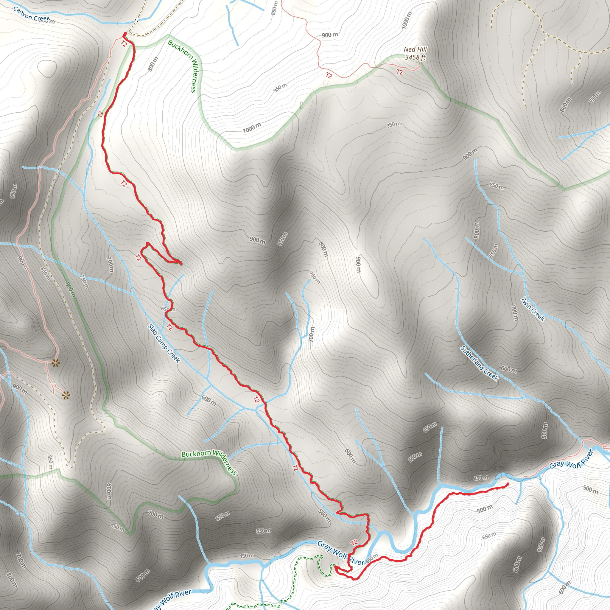 Gray Wolf Camp Tony Trail mobile static map