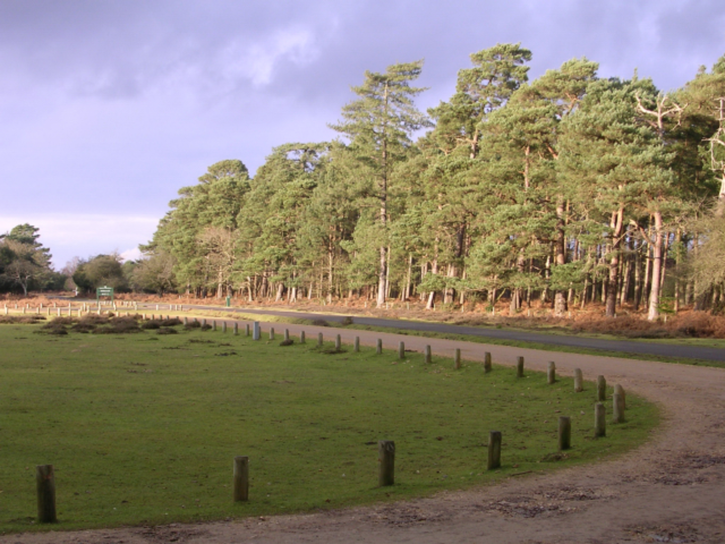 An image depicting the trail Bolderwood Grounds and Bolderwood Deer Sanctuary and its surrounding area.