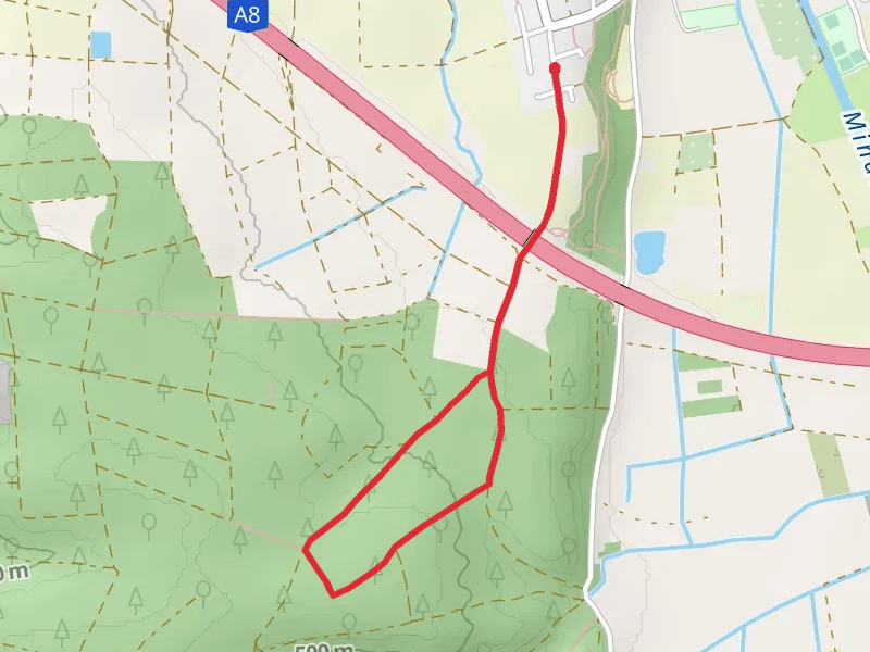 Wald Eriebnis Weg