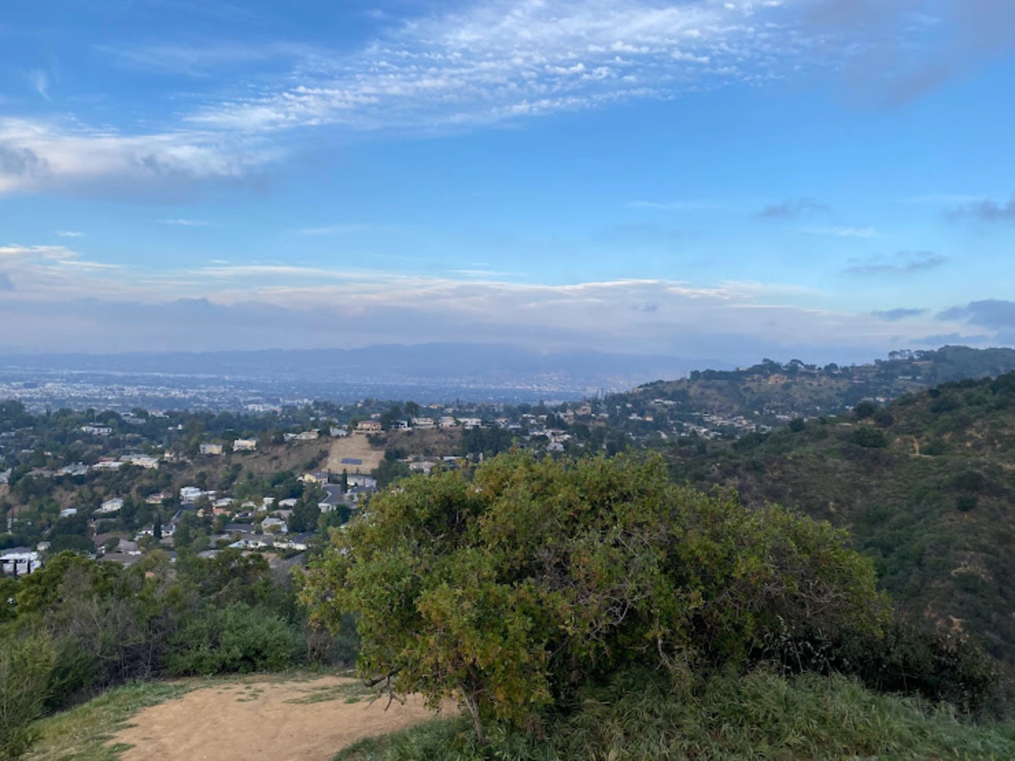 An image depicting the trail Dearing Mountain Trail Out and Back and its surrounding area.